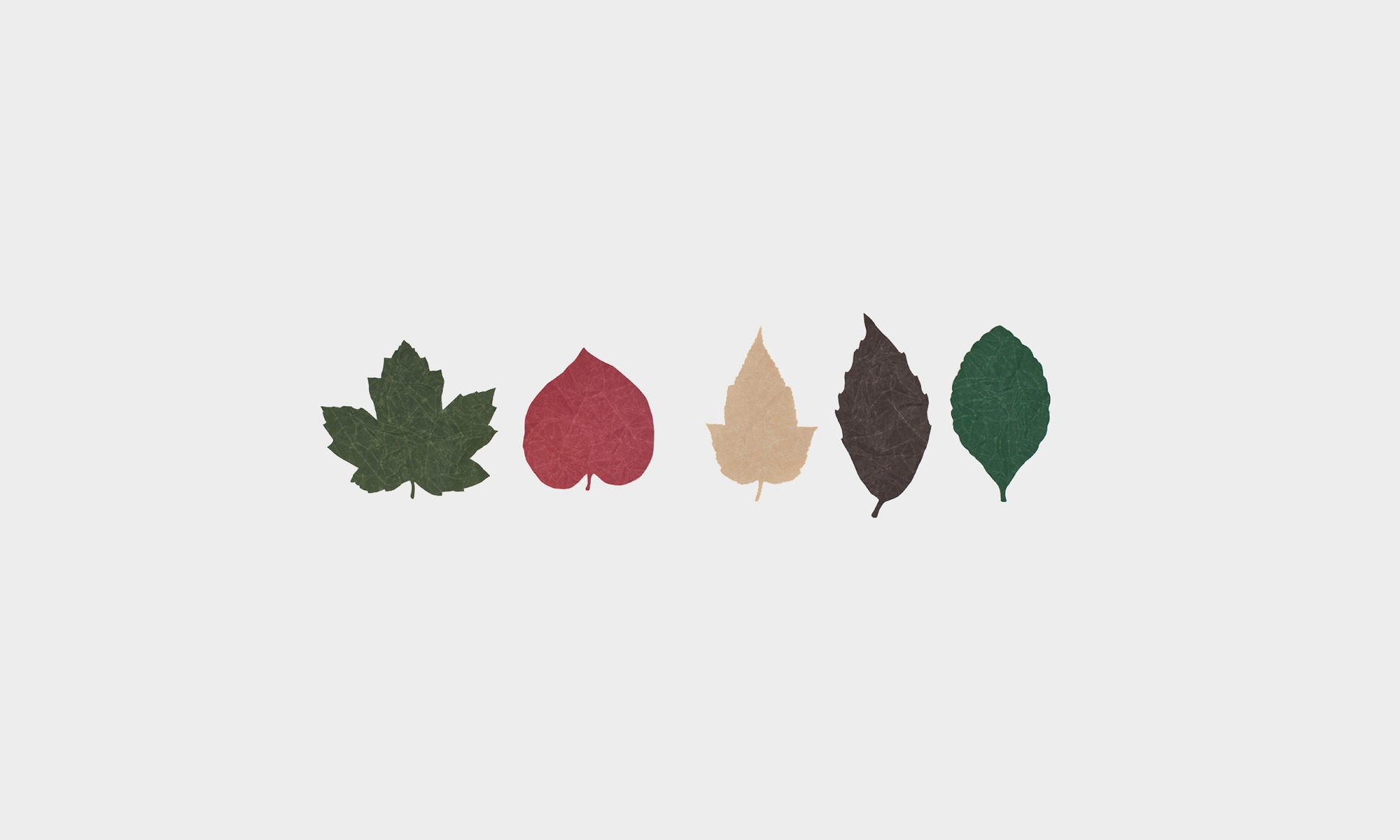 Segnalibri o decorazioni a forma di foglie
